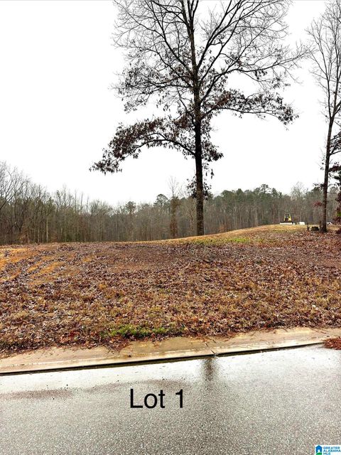 25 OLIVIA LANE 1 WOODSTOCK AL 35184