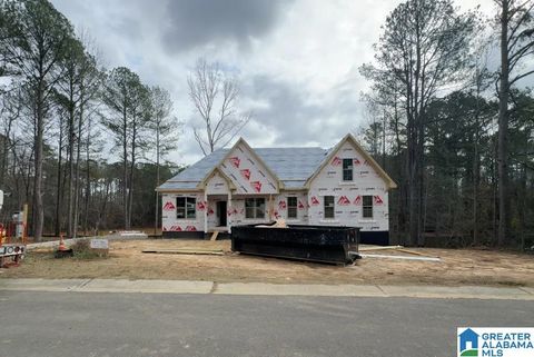 190 RIVER BIRCH ROAD CHELSEA AL 35043