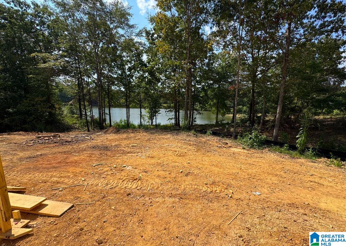 620 EMERALD TRACE