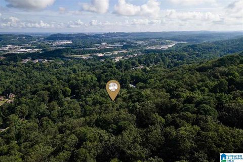 889 VELMONT LANE 15 HOMEWOOD AL 35226