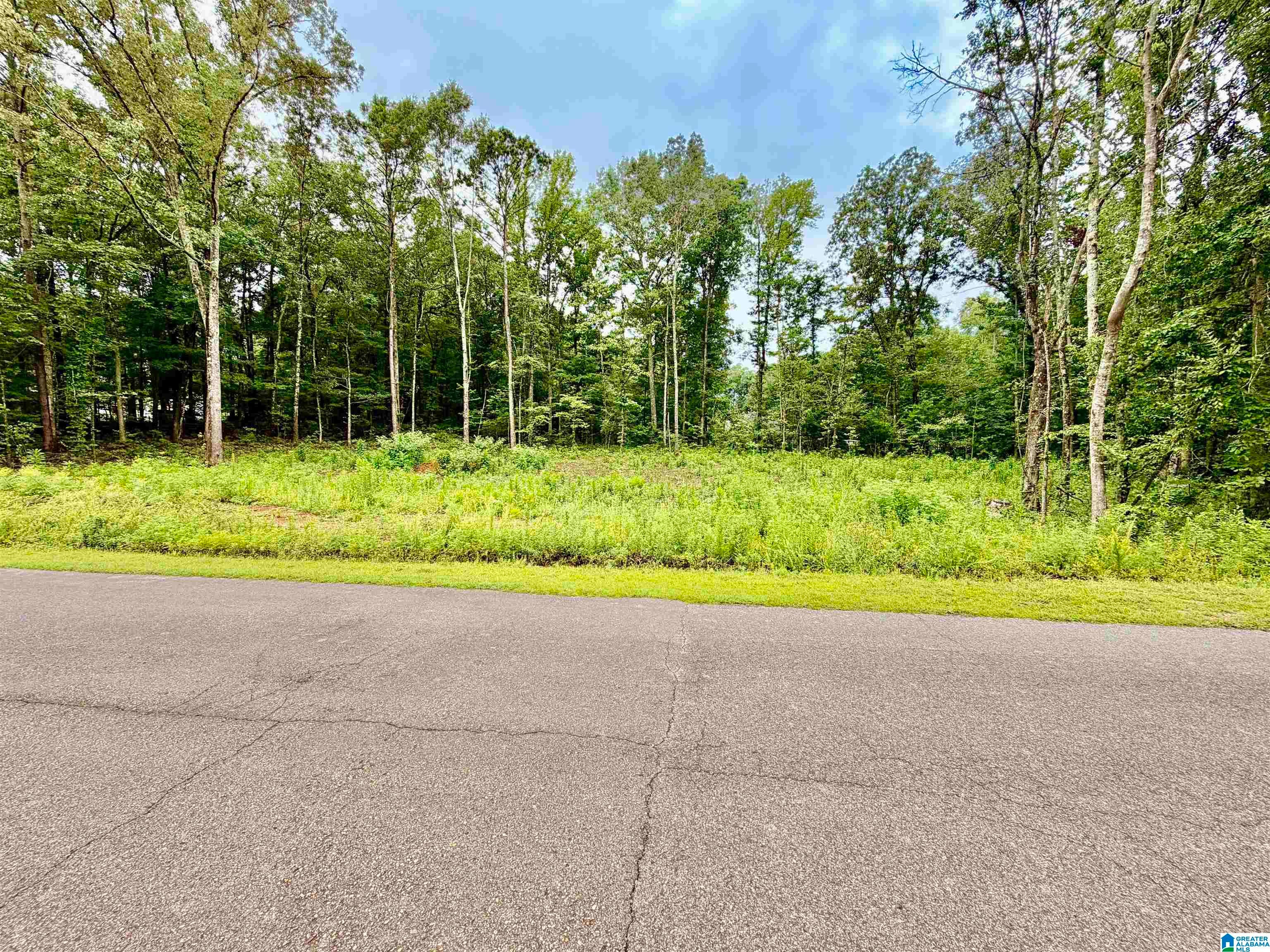 80 FOREST RIDGE DRIVE 22