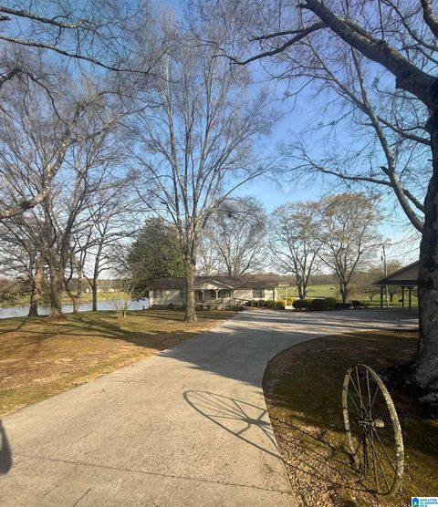 11324 COUNTY ROAD 33 ASHVILLE AL 35953