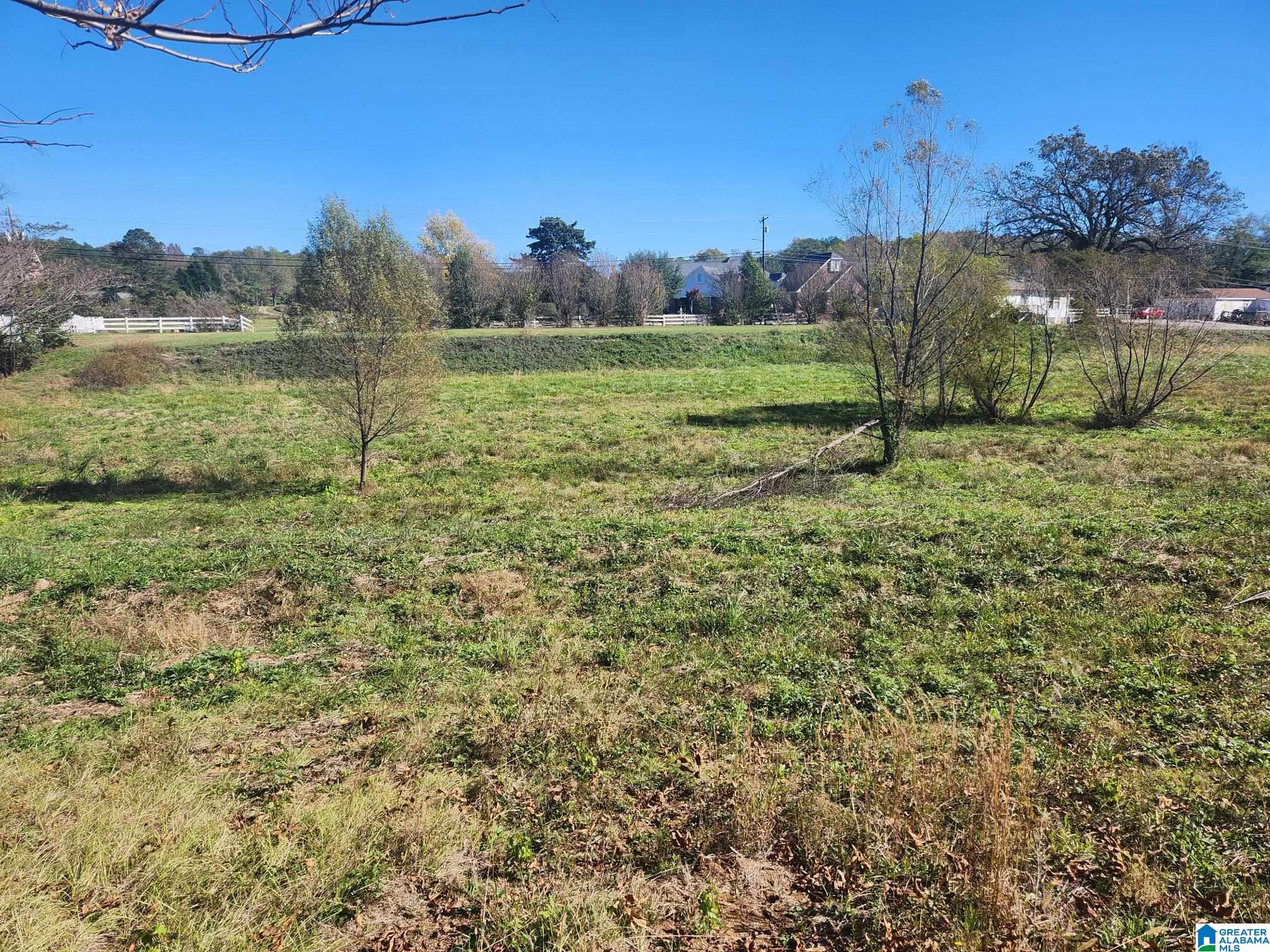 Photo 1 of 4 — 316 HIGHWAY 47 acreage, COLUMBIANA, AL 35051