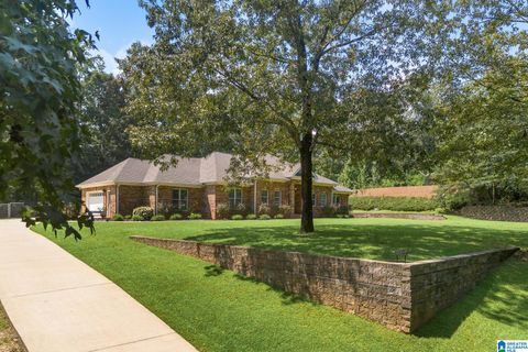 13388 MCCOY CIRCLE LAKE VIEW AL 35111