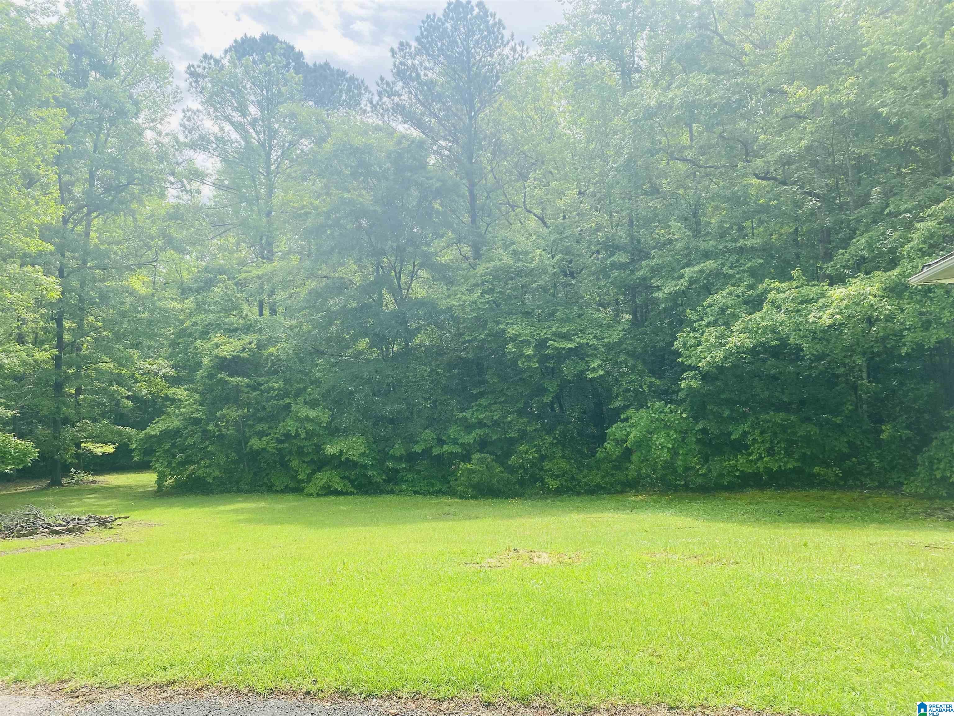 2590 CAMP BRANCH ROAD