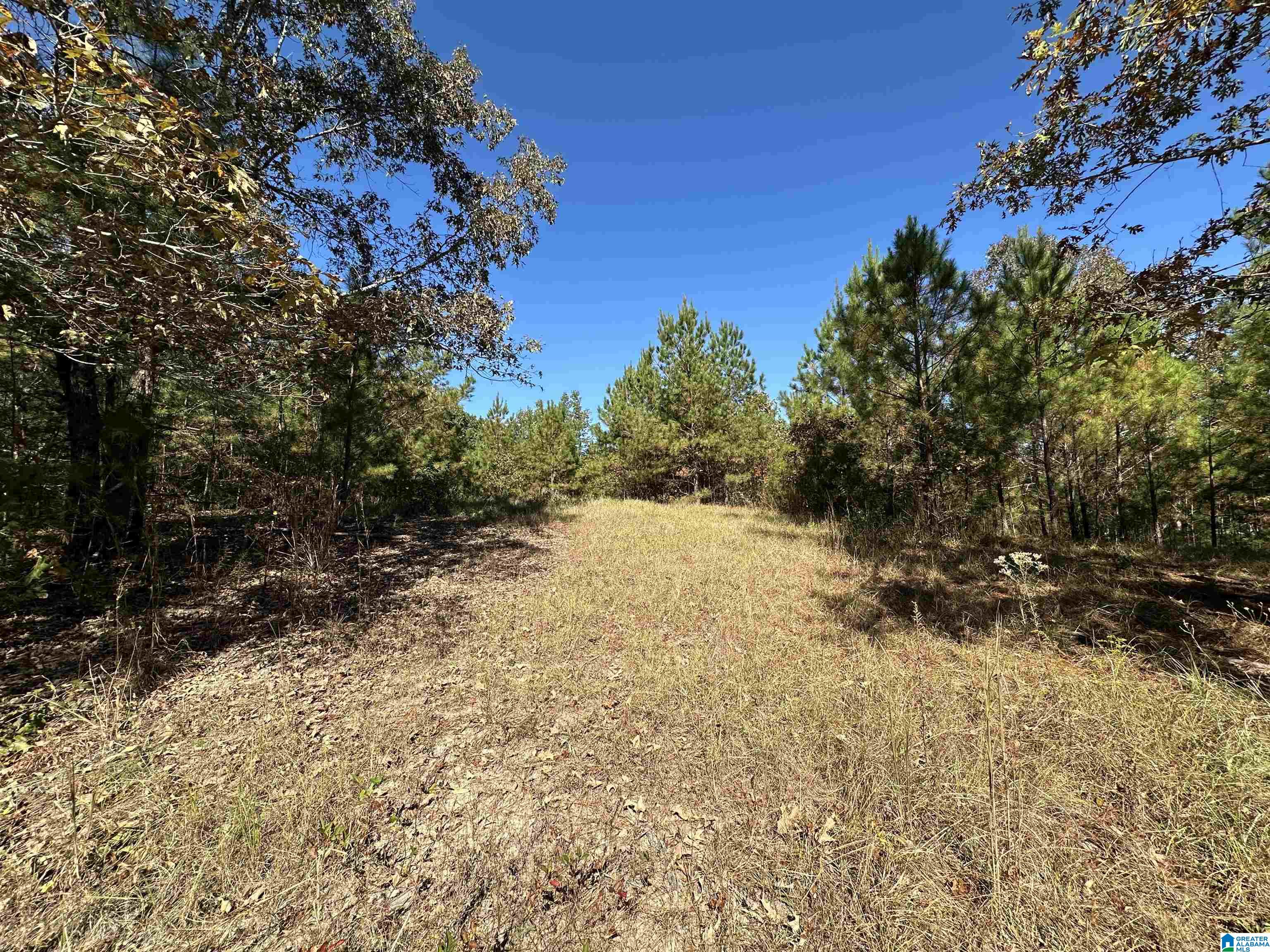 0 COUNTY ROAD 483 0