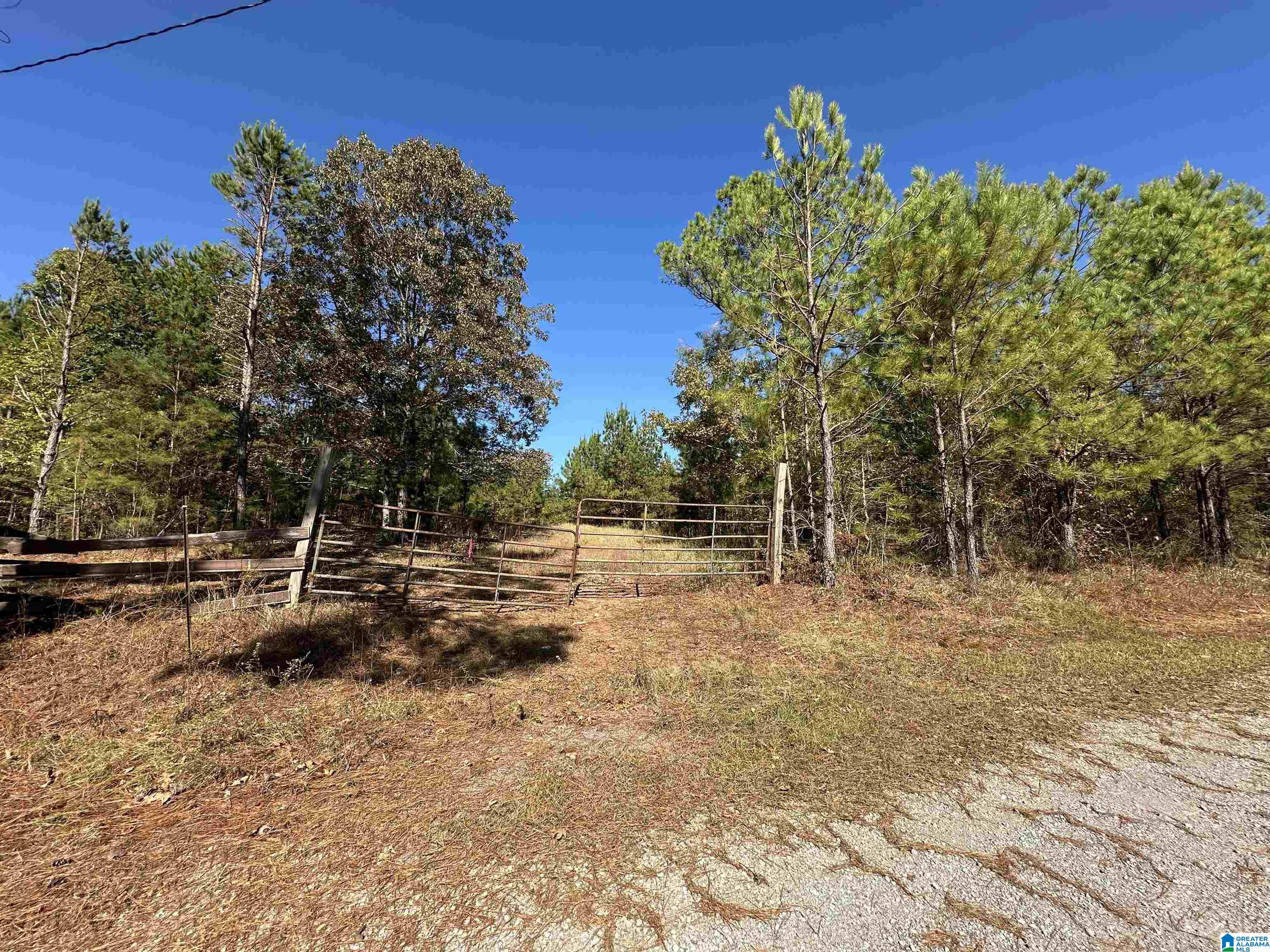 Photo 1 of 15 — 0 COUNTY ROAD 483 0, VINCENT, AL 35178