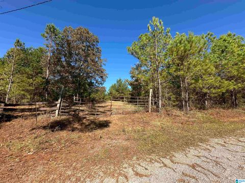 0 COUNTY ROAD 483 0 VINCENT AL 35178