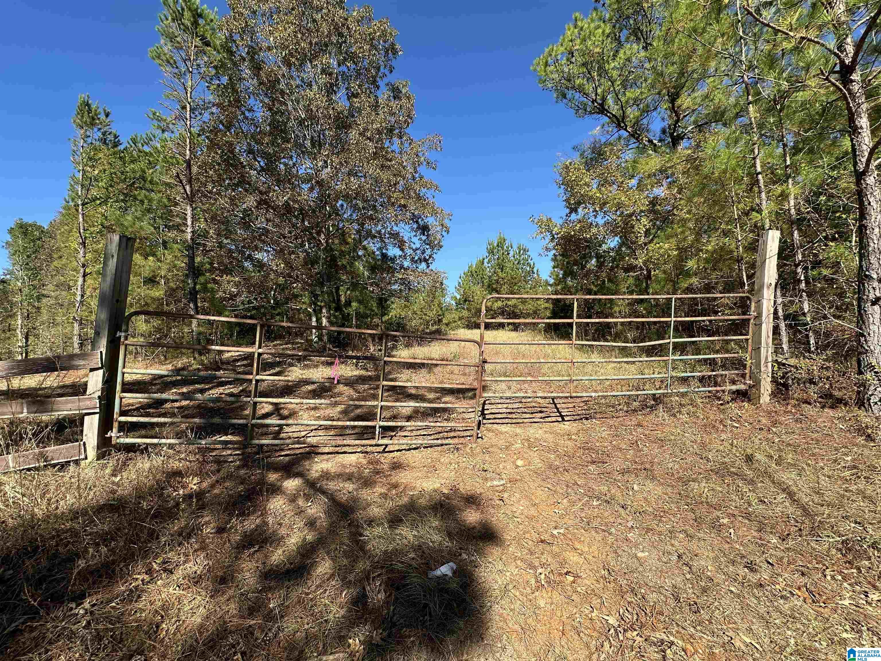 0 COUNTY ROAD 483 0