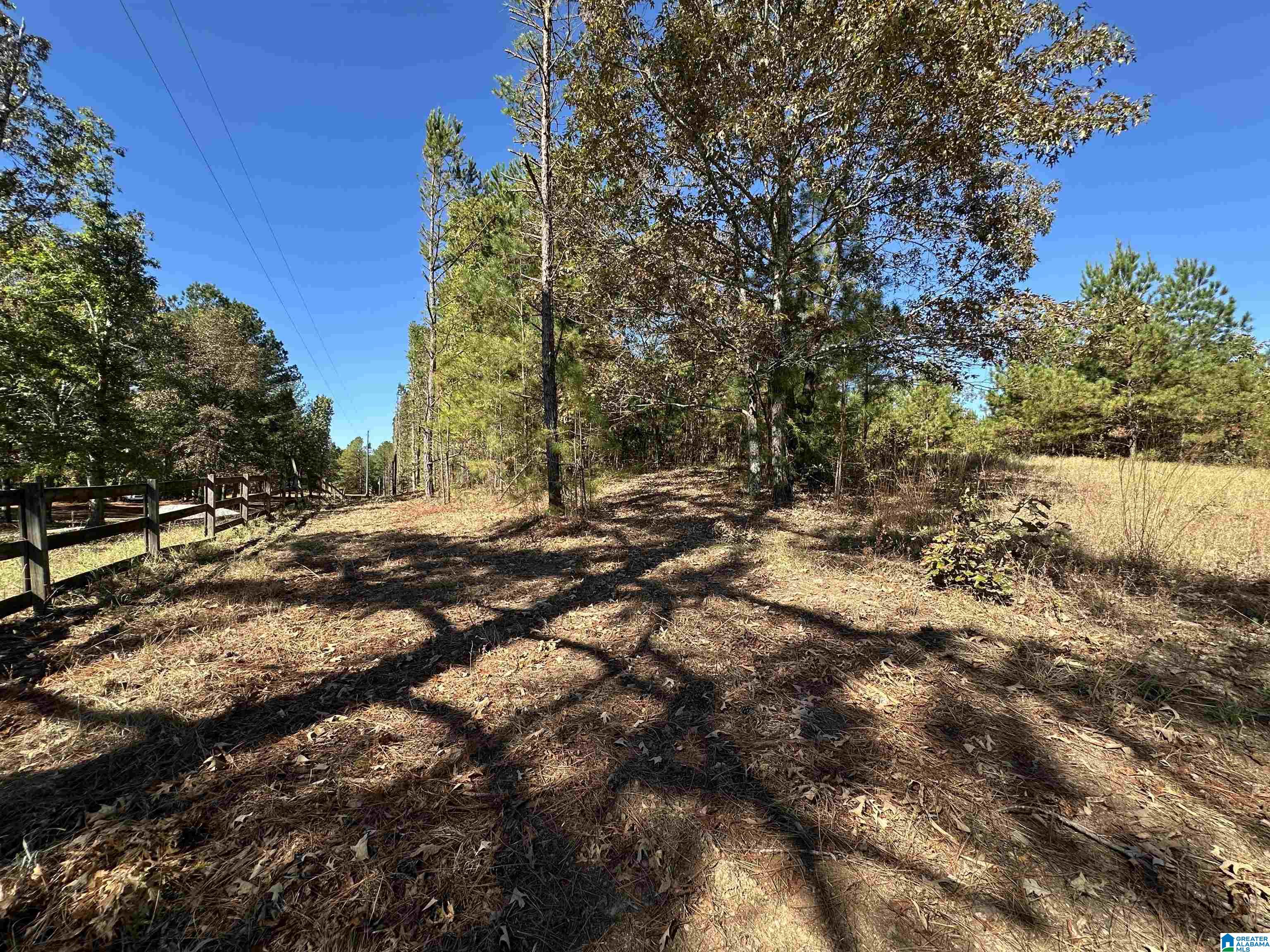 0 COUNTY ROAD 483 0