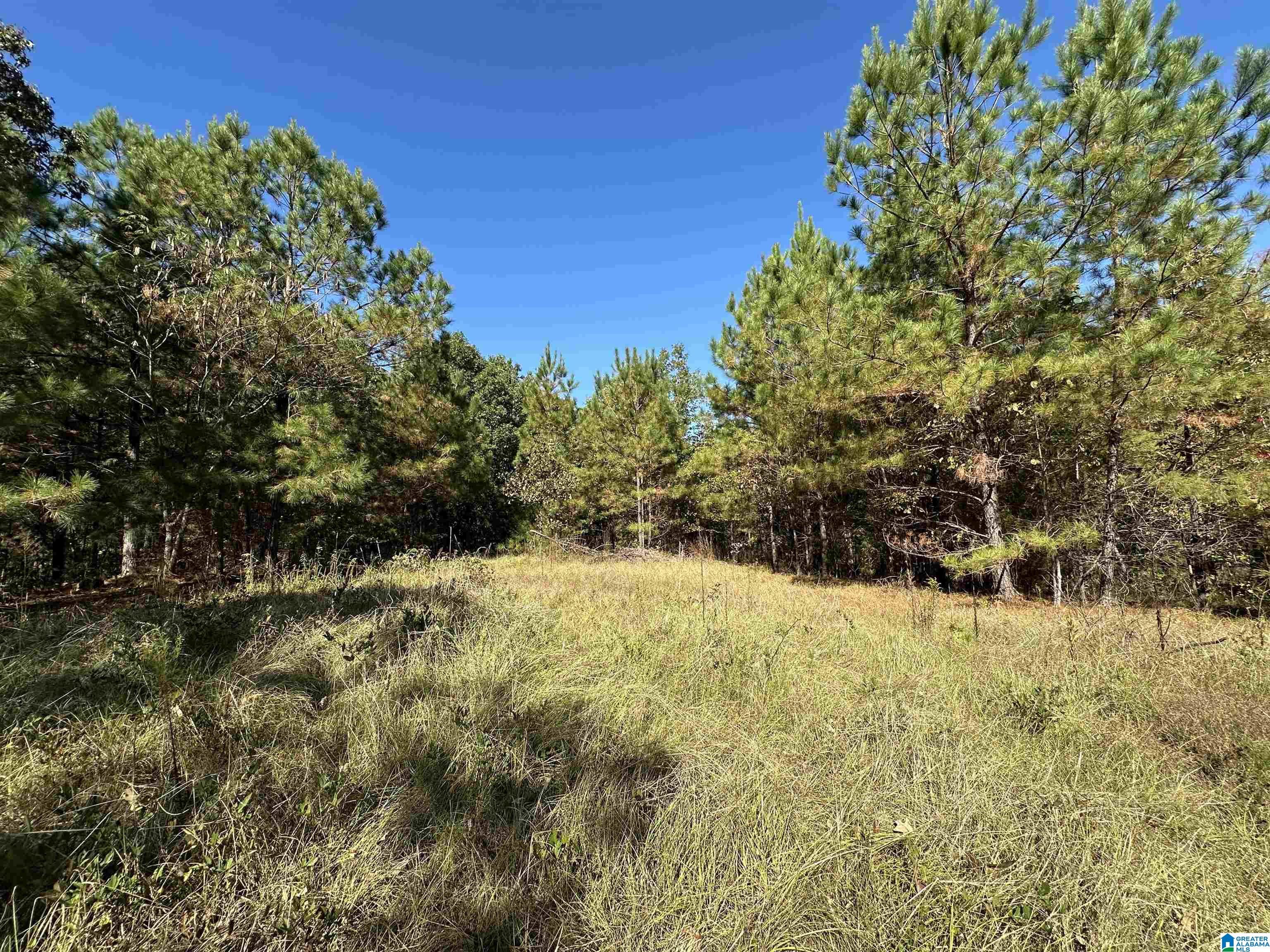 0 COUNTY ROAD 483 0