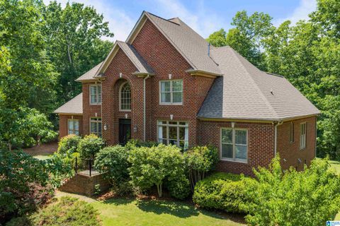 132 SPRING ROAD BIRMINGHAM AL 35242