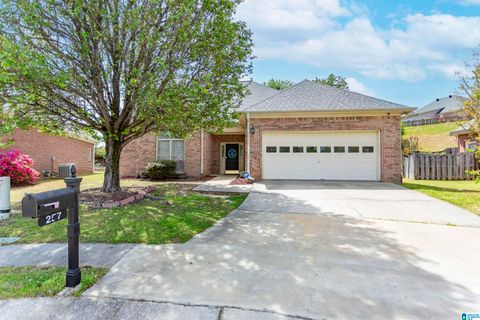 Photo of 257 Beaver Creek Parkway, PELHAM, AL 35124 (MLS # 21448664)