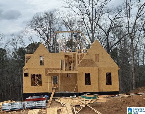 3270 RIVER BIRCH TRAIL CHELSEA AL 35043