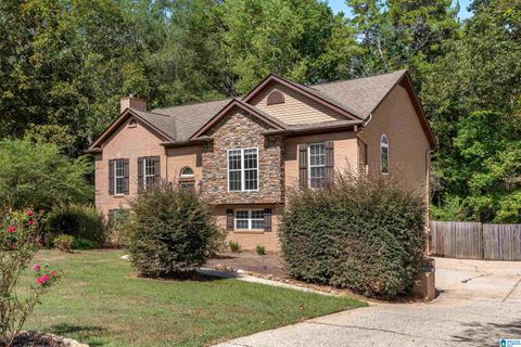 151 BRYNLEIGH DRIVE CHELSEA AL 35043