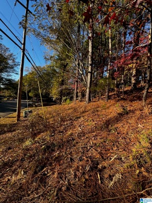 3724 CHESTNUT RIDGE LN # 2-B, VESTAVIA HILLS, AL 35216 - Image c532d512f6944703b07764ce0aa0eba8/65218323