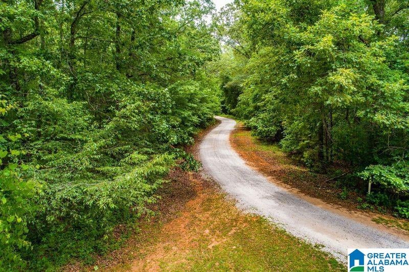 4.27 acres ANTLER TRAIL 00