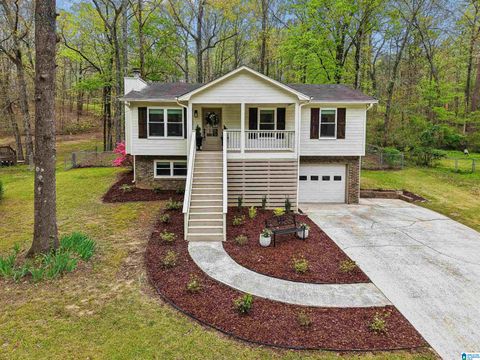 6189 ALABAMA DRIVE TRUSSVILLE AL 35173