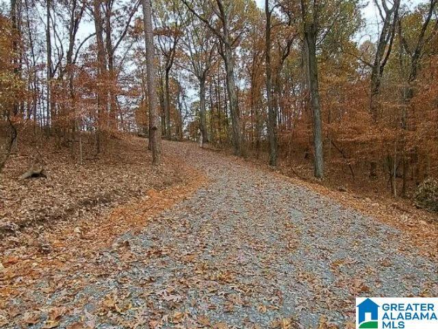 6246 RED HOLLOW ROAD 0