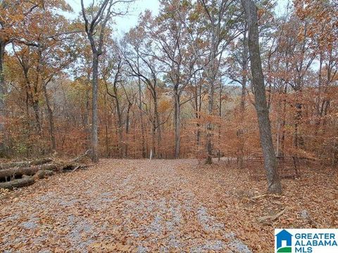 6246 RED HOLLOW ROAD 0 PINSON AL 35215
