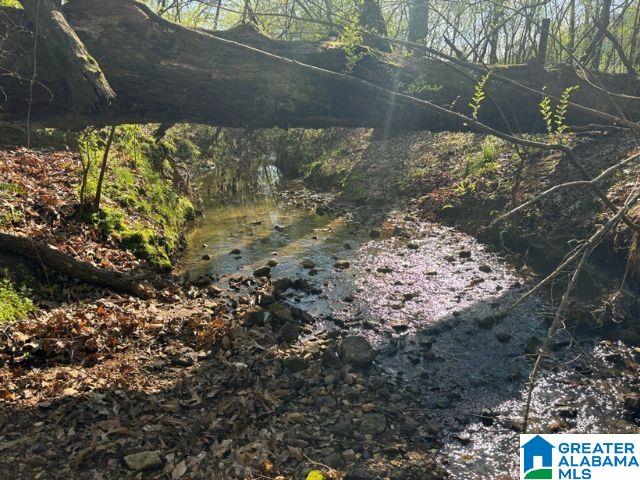 6246 RED HOLLOW ROAD 0