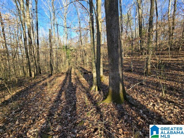 6246 RED HOLLOW ROAD 0