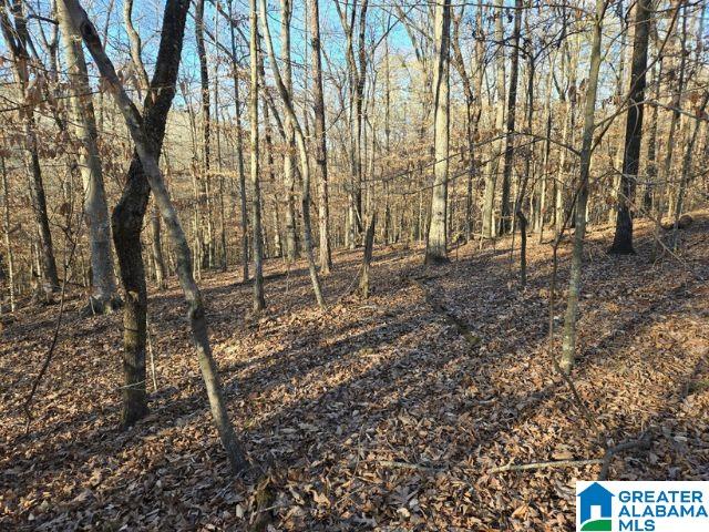 6246 RED HOLLOW ROAD 0
