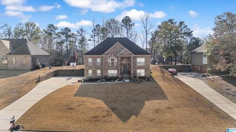 248 LIME CREEK LANE CHELSEA AL 35043