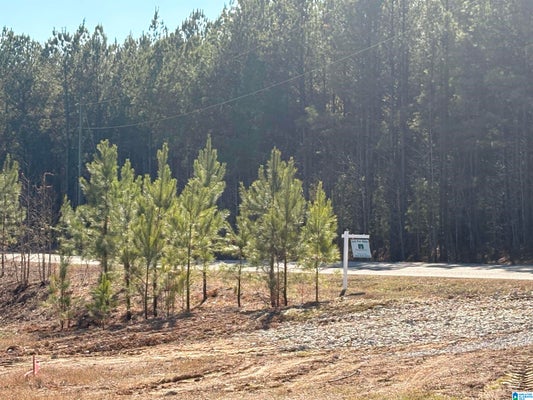 40 QUEEN DR, COLUMBIANA, AL 35051 - Image c66e4955df3c1f4ceea67e0859d8b57b/1368110587