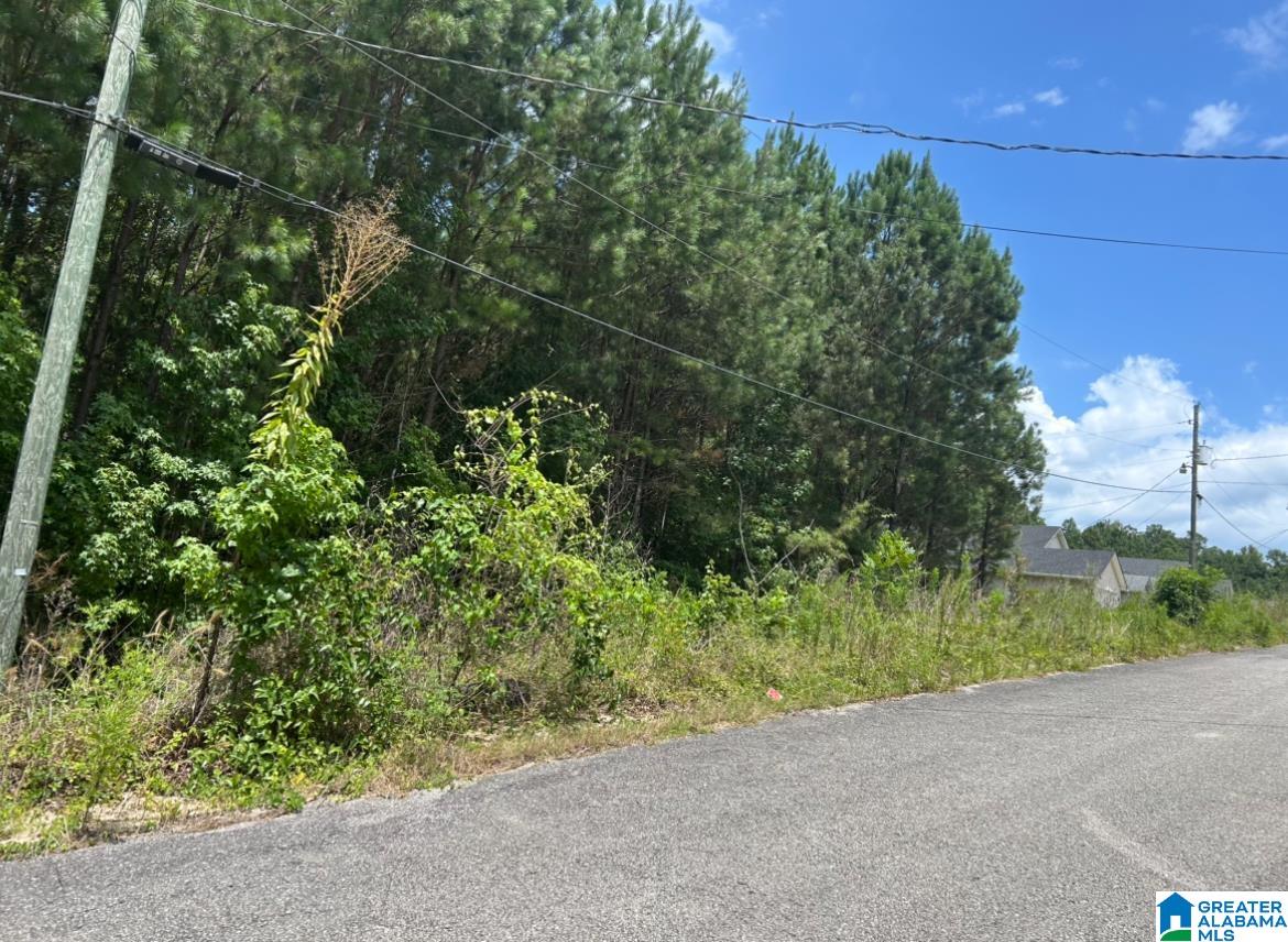 23 Acres TRUMAN ALDRICH PARKWAY 23 ACRES