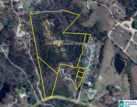 23 Acres TRUMAN ALDRICH PARKWAY 23 ACRES WEST BLOCTON AL 35184