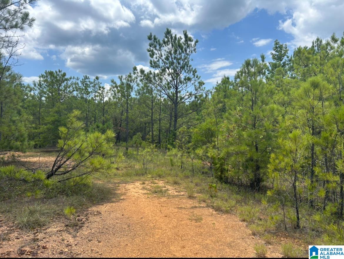 23 Acres TRUMAN ALDRICH PARKWAY 23 ACRES