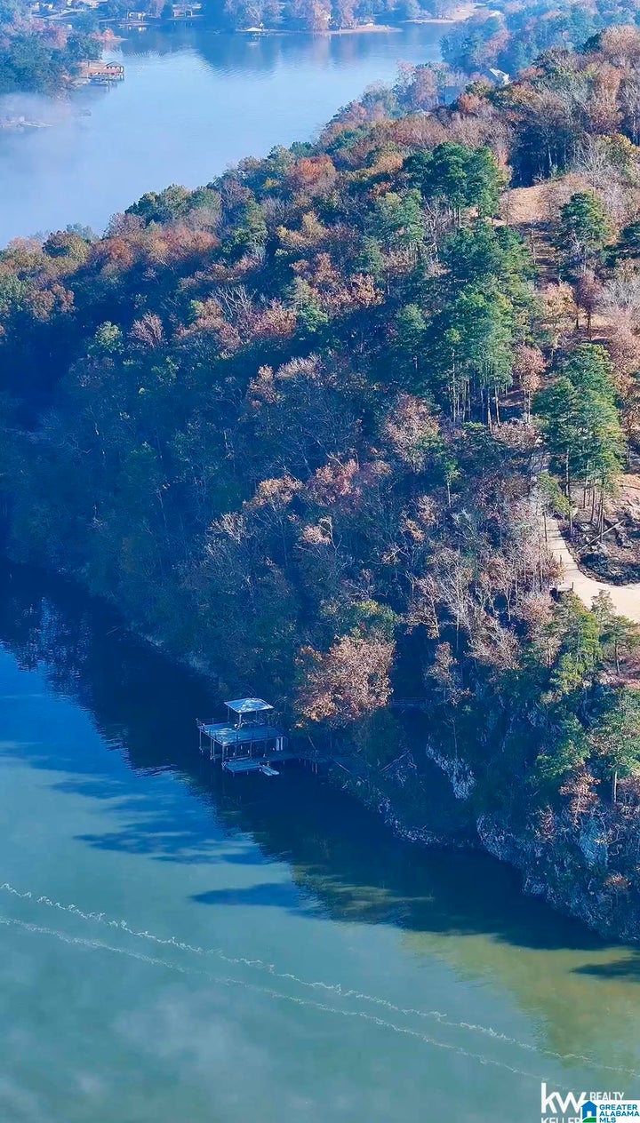 Photo 1 of 49 — MOHAWK BLUFF DRIVE 1, OHATCHEE, AL 36271
