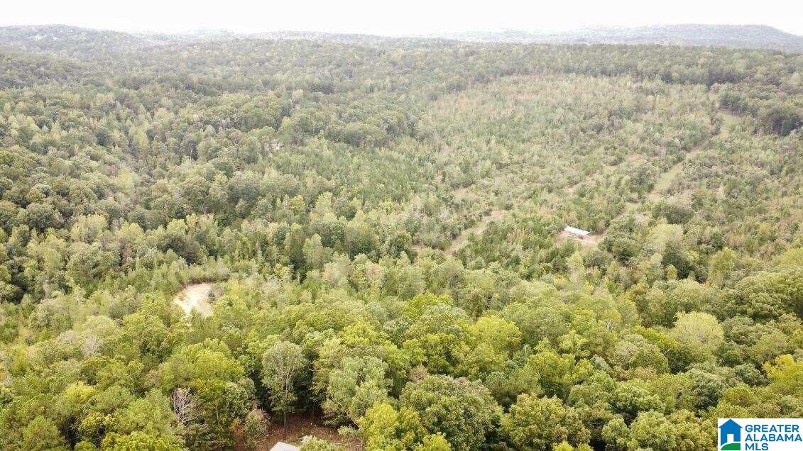 940 CEDAR CREEK ROAD 4