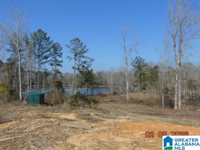192 COUNTY ROAD 10 - Photo 2