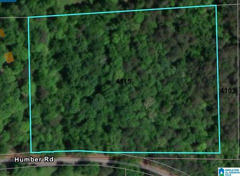 4115 HUMBER ROAD 1 DORA AL 35062