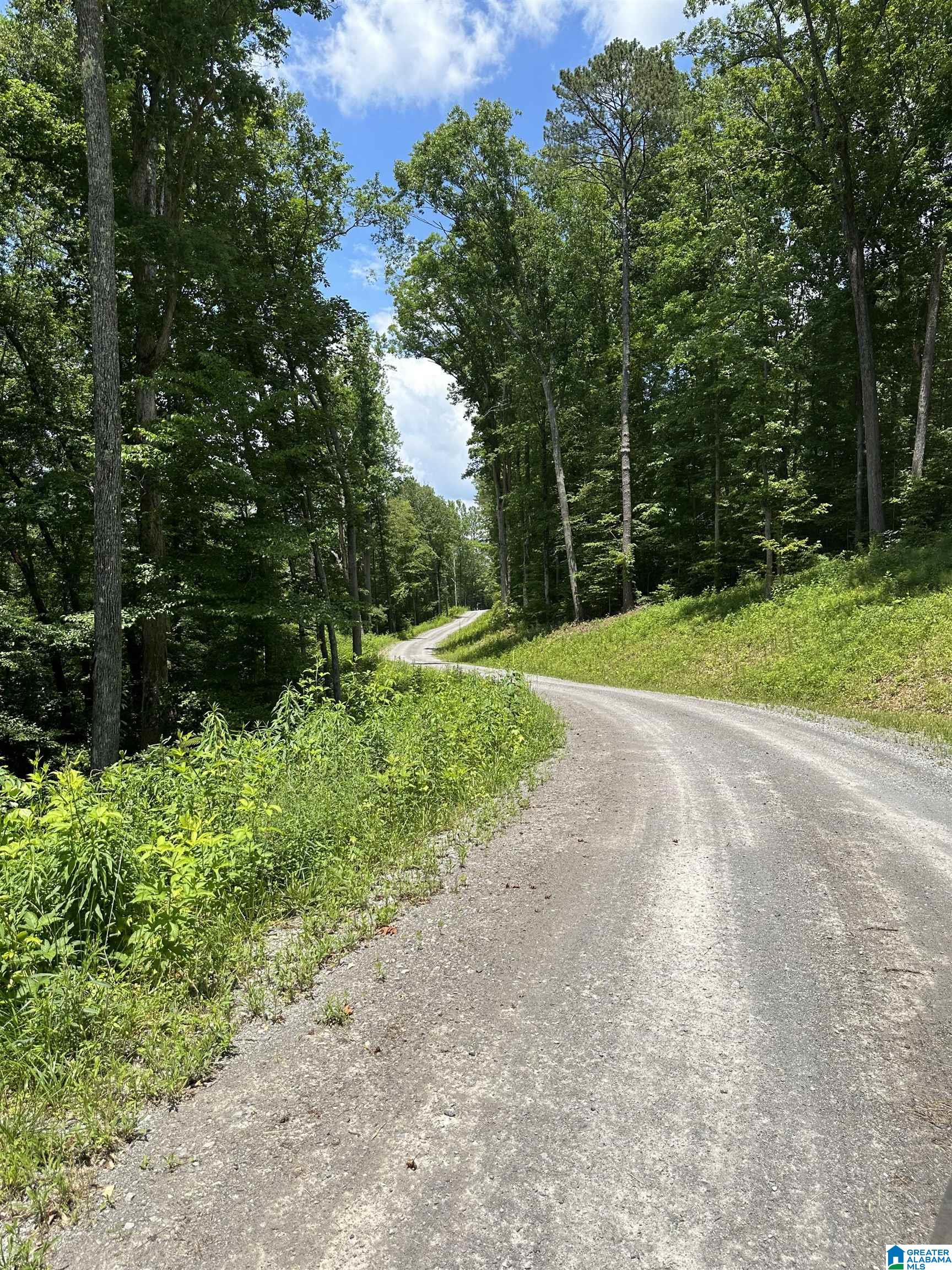 370 MOUNTAIN VIEW ROAD 2