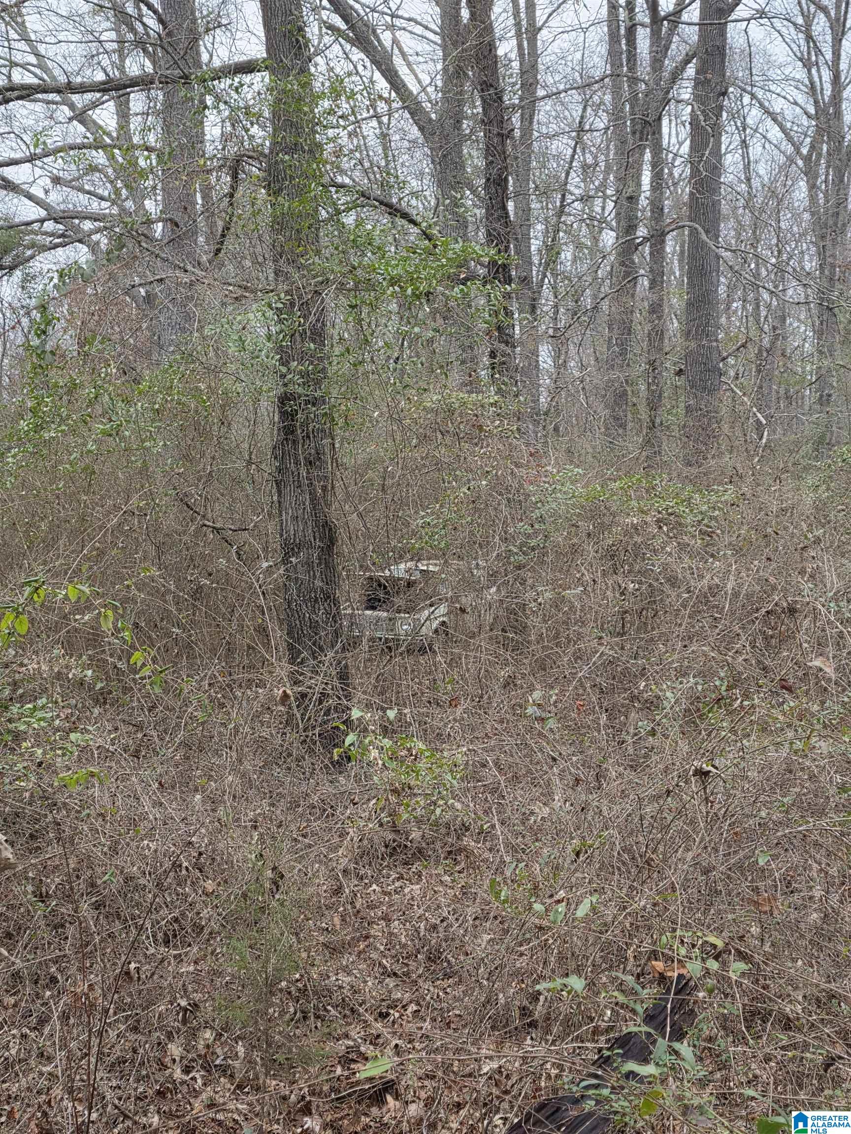 322 TUCKER ROAD none