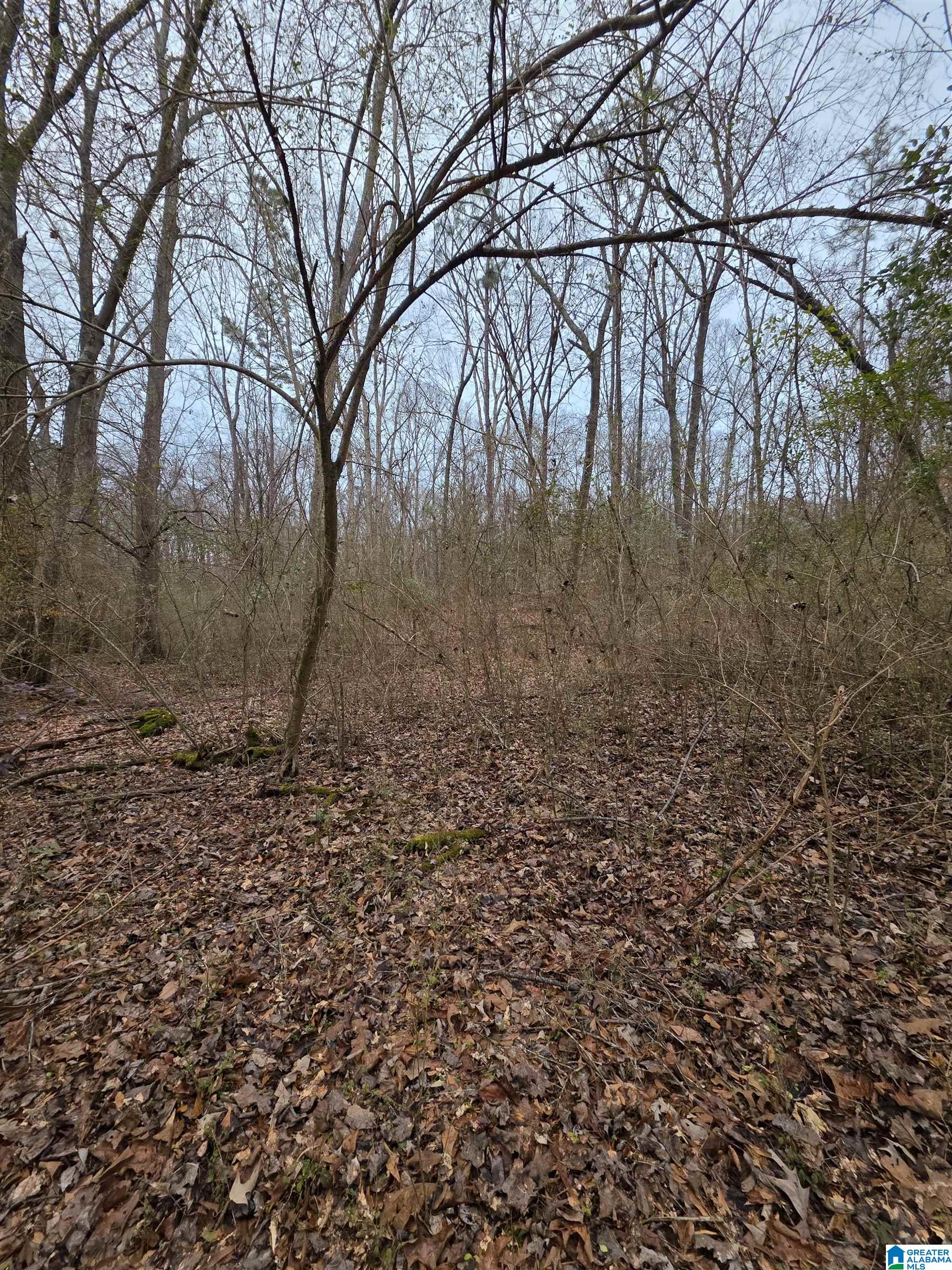 322 TUCKER ROAD none