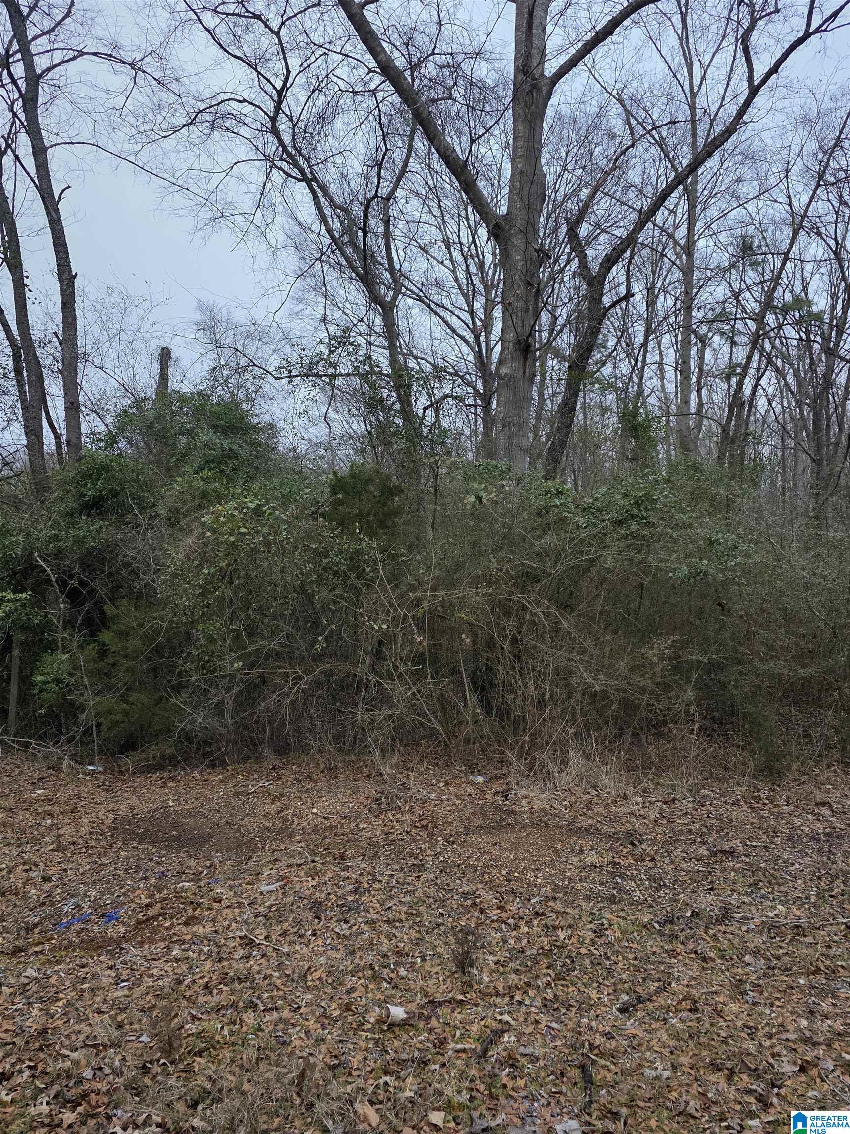 322 TUCKER ROAD none