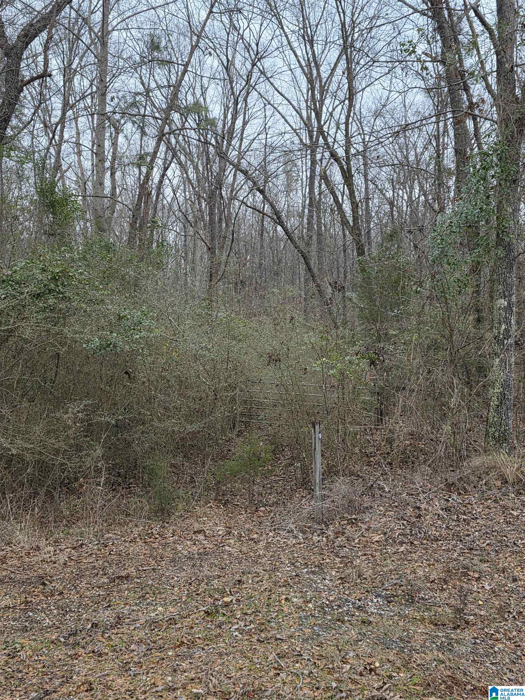 322 TUCKER ROAD none