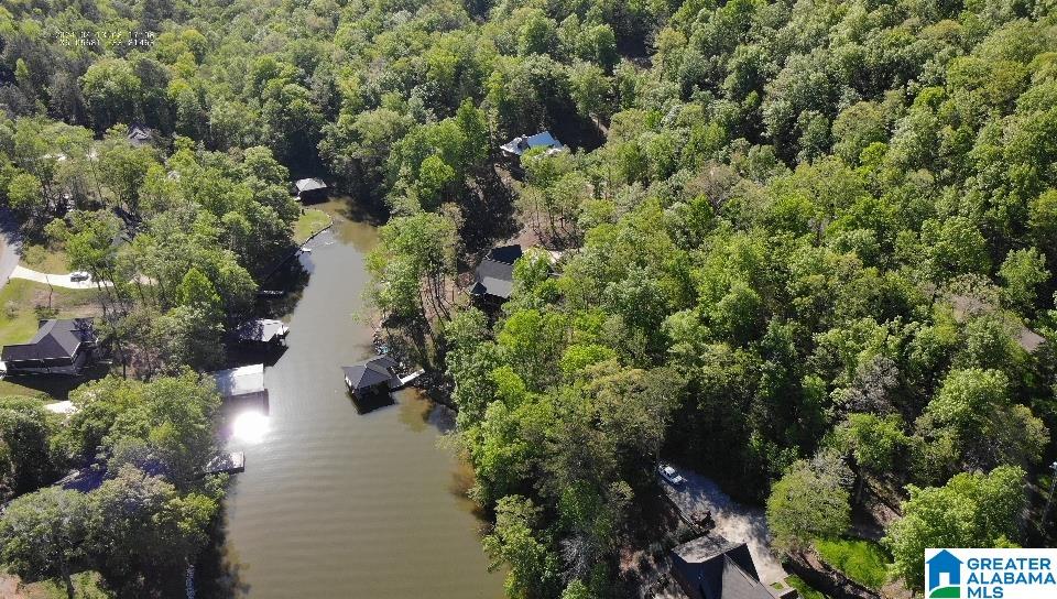 Photo 1 of 42 — 102 BOULDER POINT LANE 6 & 7, OHATCHEE, AL 36271