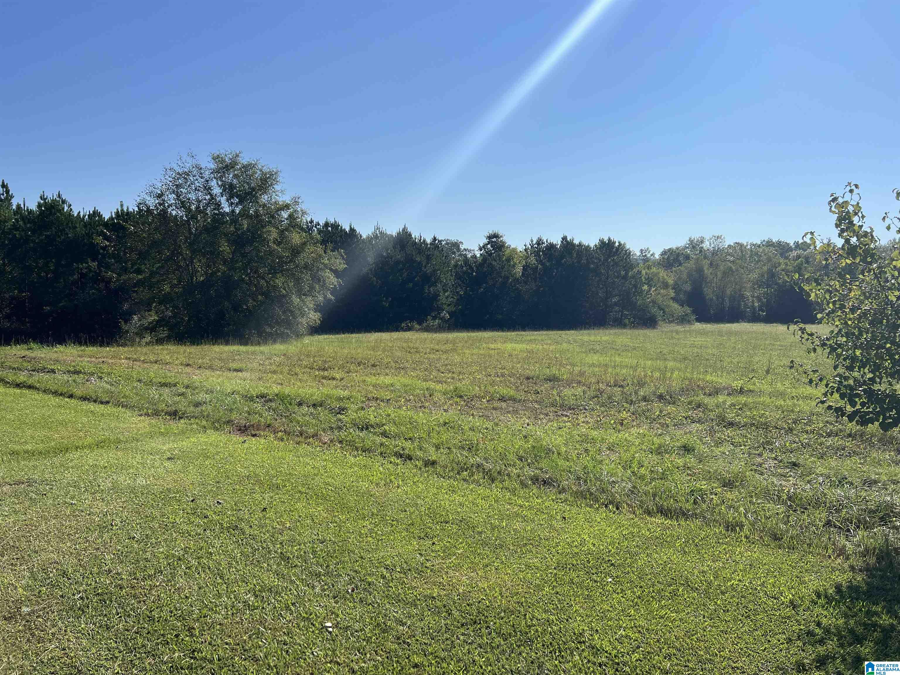 Photo 1 of 3 — 0 US HWY 231 #0 Unit #0, ASHVILLE, AL 35953