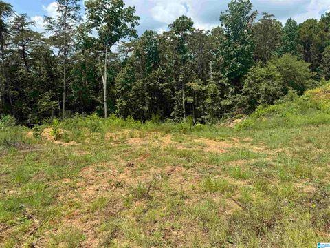 832 MOUNTAINVIEW DRIVE 005 GARDENDALE AL 35071