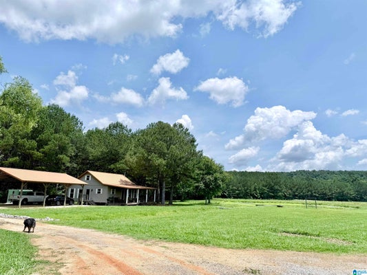 4820 COUNTY ROAD 22, ASHVILLE, AL 35953 - Image c8f6386c2ce7edded842ff882d820c78/2483495433