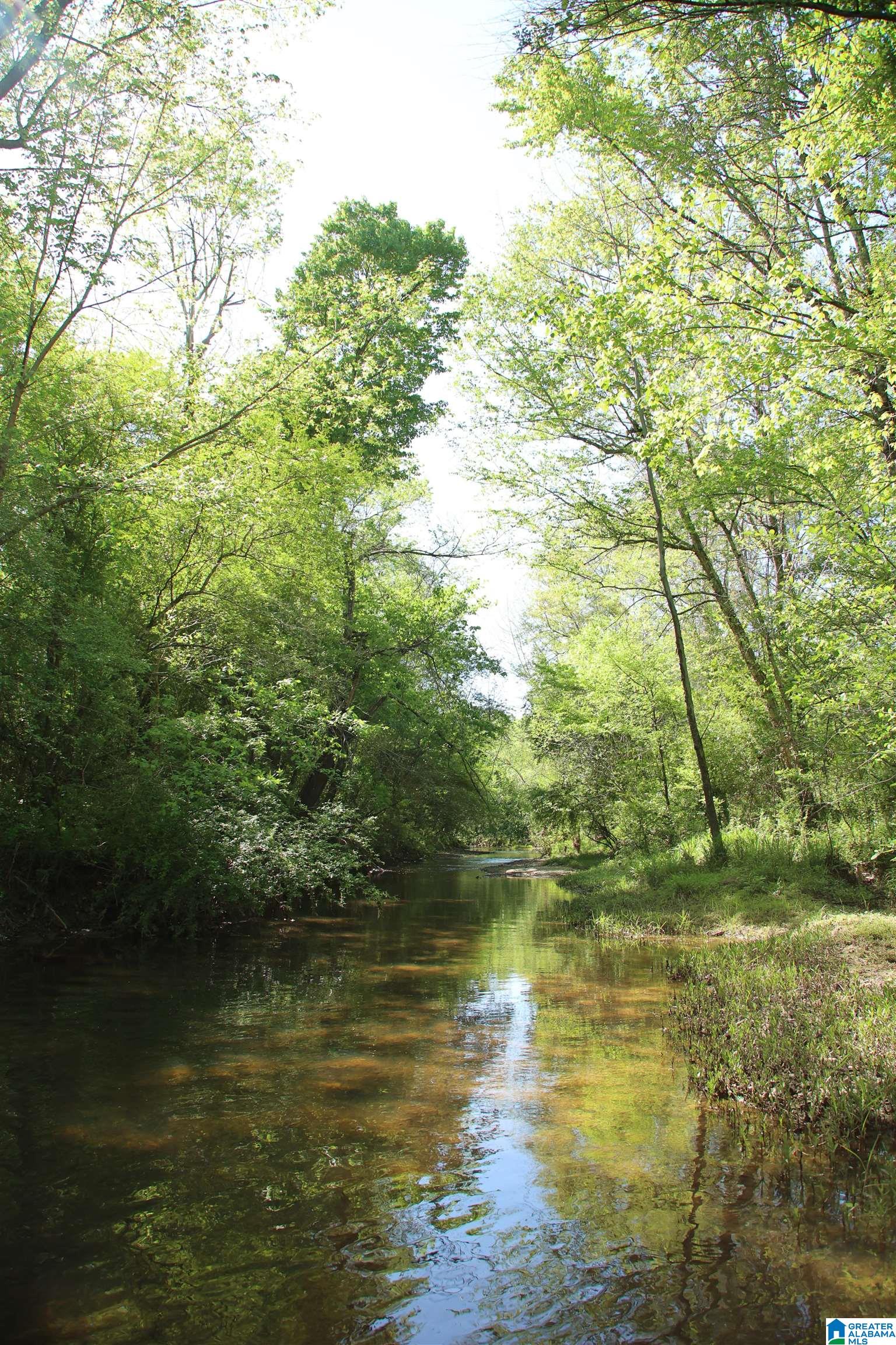 4820 COUNTY ROAD 22