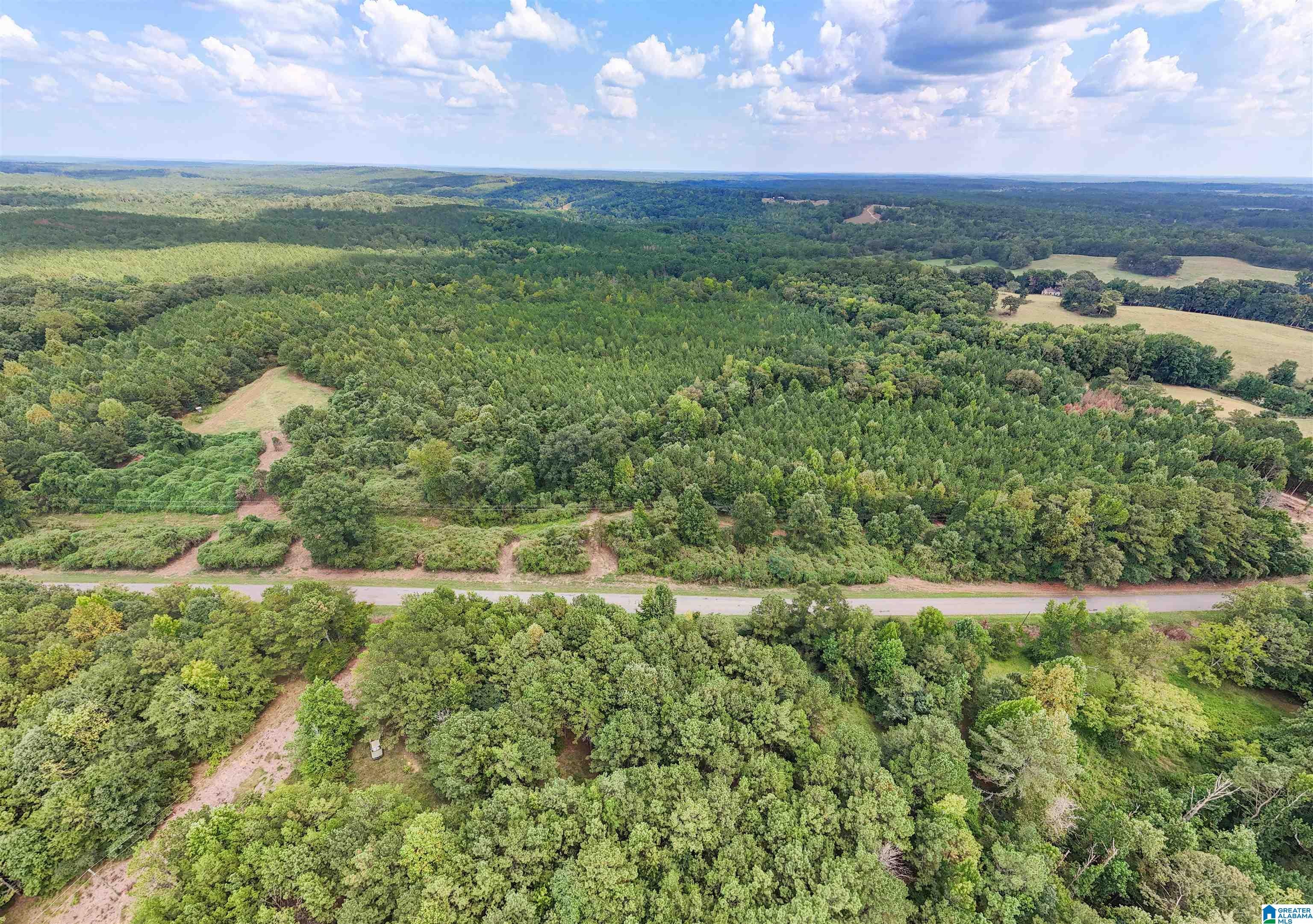 0 COUNTY ROAD 87 6