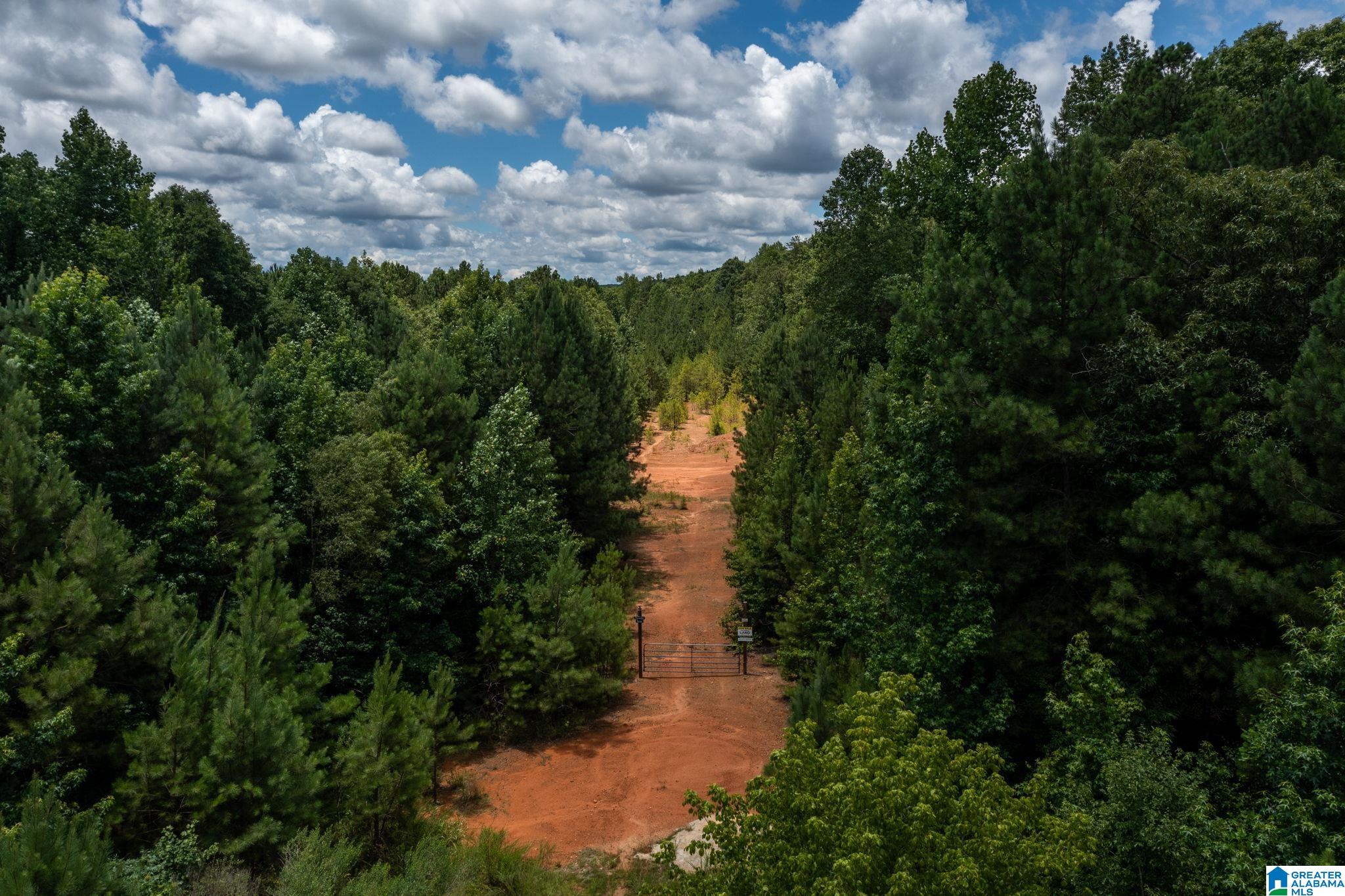Photo 1 of 7 — DEER RIDGE DRIVE 0, CHELSEA, AL 35043
