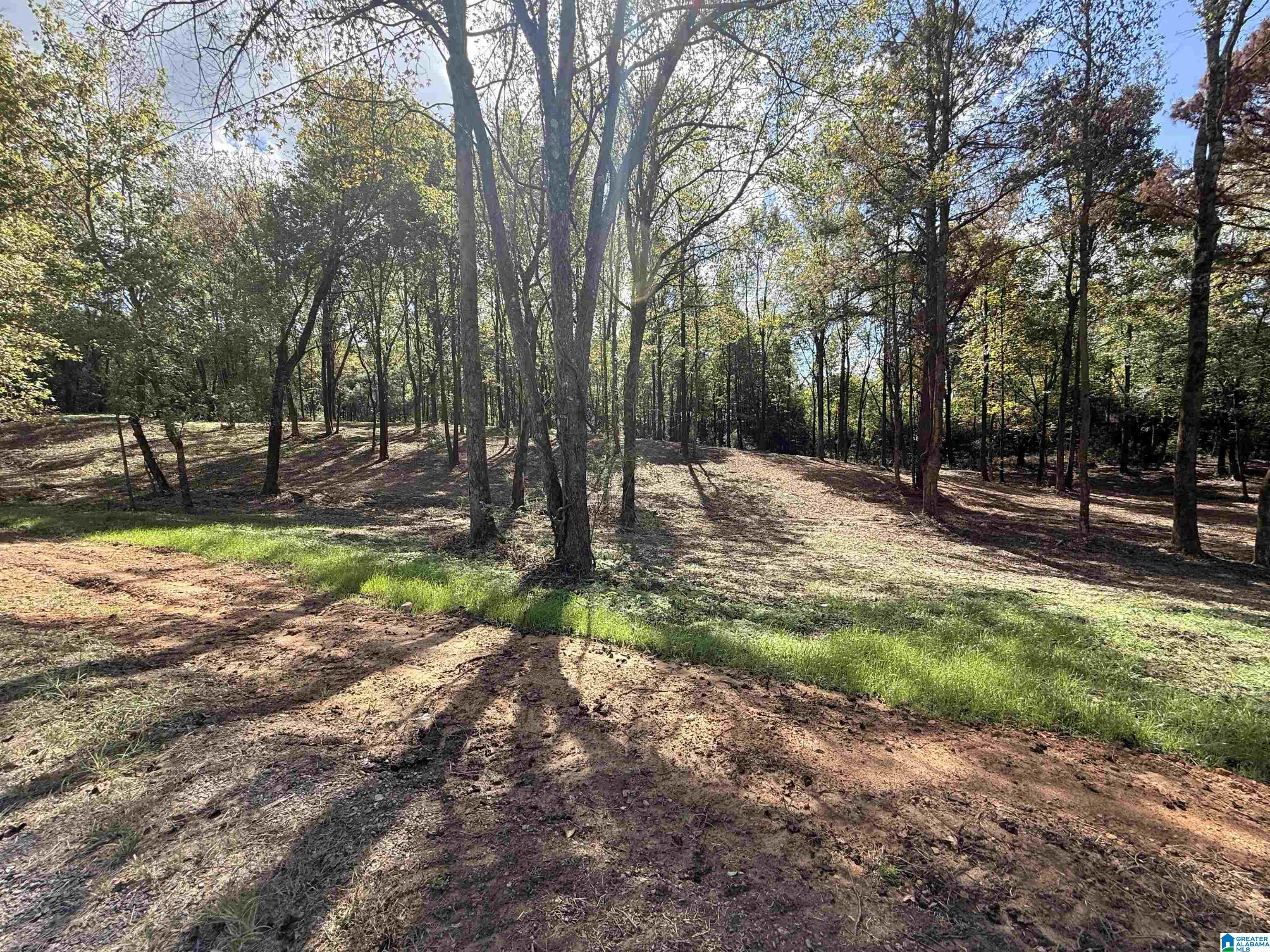 12A COUNTY ROAD 1123 12A