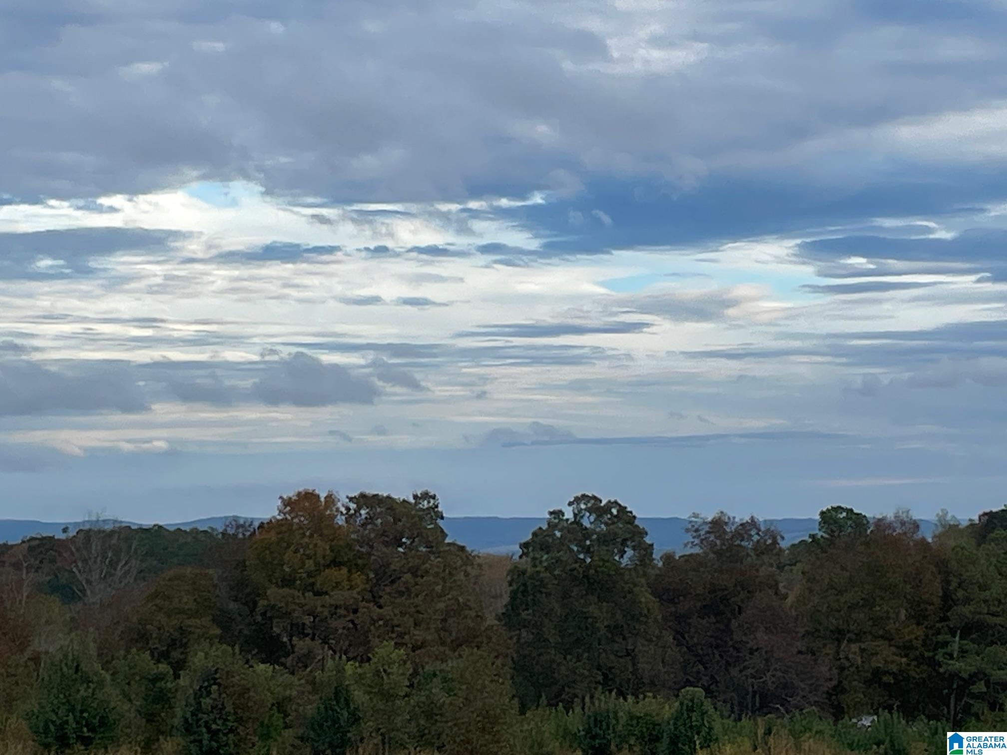 0 Payton Dr, Lo CADES COVE ROAD